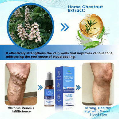🇬🇧👨‍⚕️👍GFOUK® VascuCare Vein Healing Spray(Designed for Varicose veins, Spider veins, Deep vein Thrombosis, Chronic venous insufficiency, Venous ulcers, Thrombophlebitis and other venous issues)